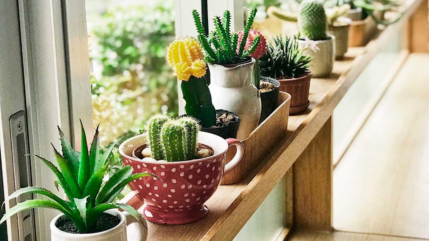 plantas para departamentos