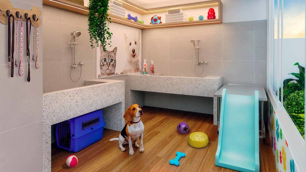 como-cuidar-a-tu-mascota-spa-para-perros-departamento-pet-friendly