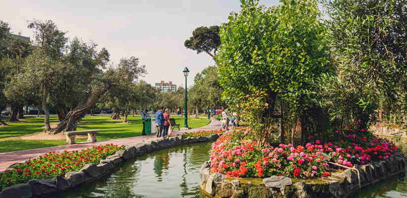 parque-el-olivar-san-isidro-abril-lavanda