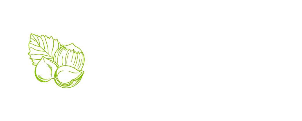 Avellana