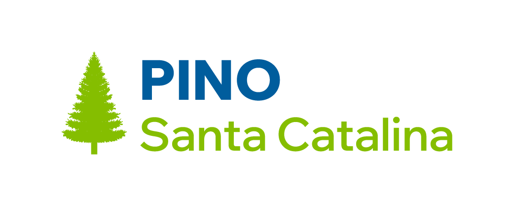Pino
