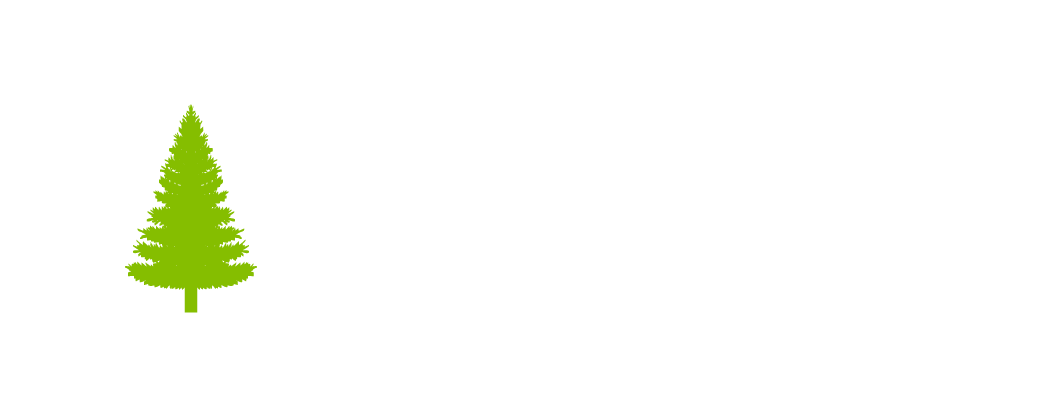 Pino