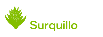 Bromelia